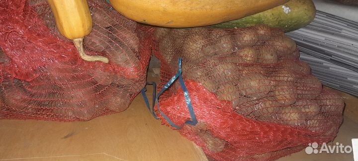 Картофель на корм скоту