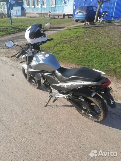 Stels flex 250