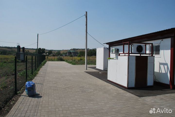 Производство молочной продукции