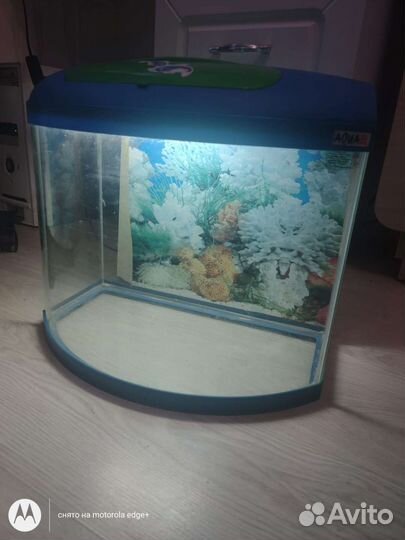 Аквариум
