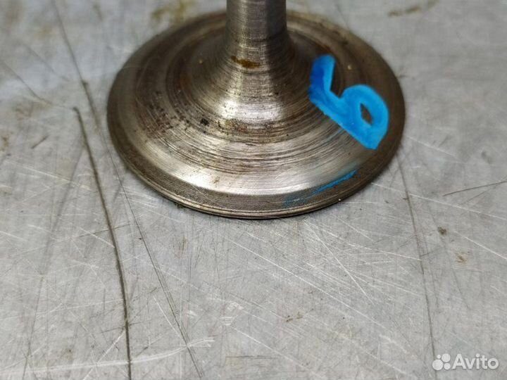 Пружина клапана Volksawagen Sharan 1995-1999