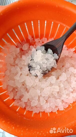 Индийский морской рис