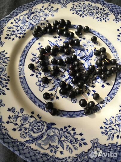 Тарелка. Англия. Отличное состояние