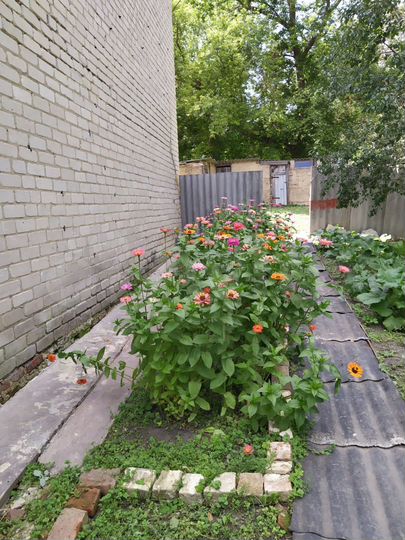 Дом 176 м² на участке 7 сот.