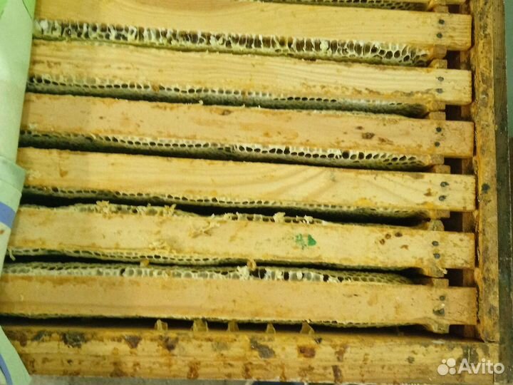 Мёд с своей пасеке