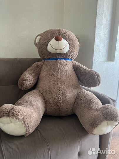 Медведь большой новый