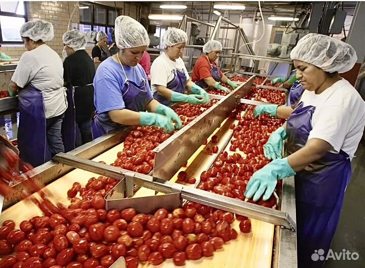 Сортировщица