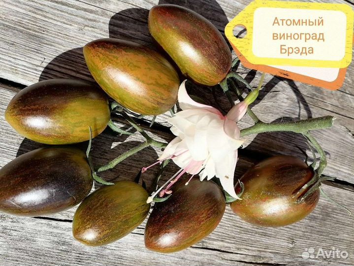 Рассада томатов, перцев, баклажан