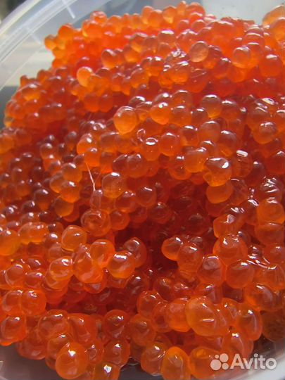 Красная икра 2023