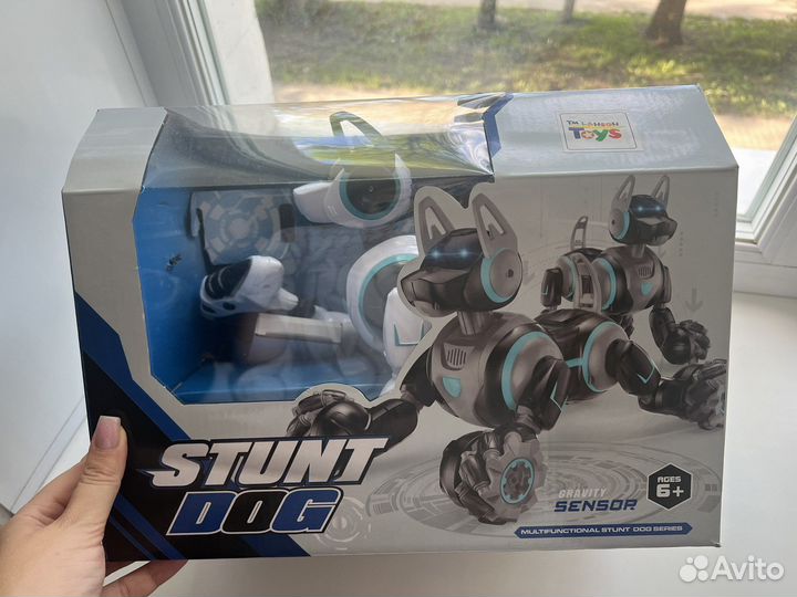 Собака робот