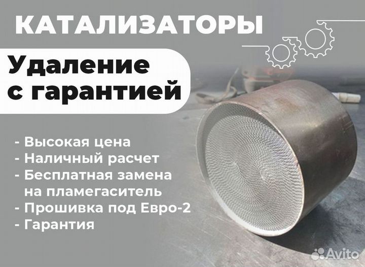 Удаление катализатора бесплатно/ чип тюнинг евро 2