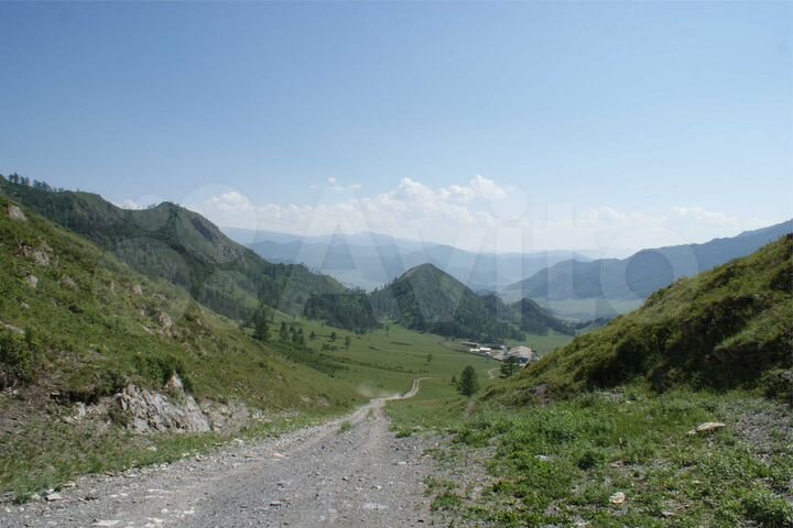 Участок 310 га (СНТ, ДНП)