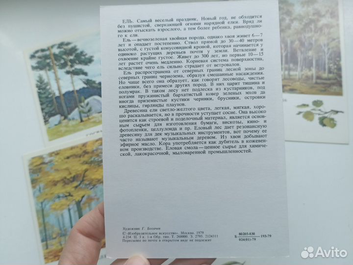 Набор открыток СССР Русский лес