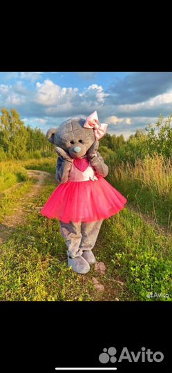 Костюмы мишки ростовая