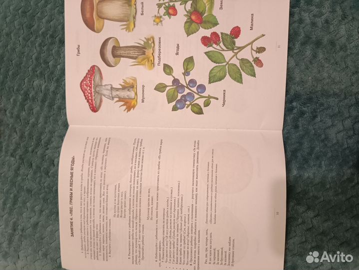 Рабочая тетрадь