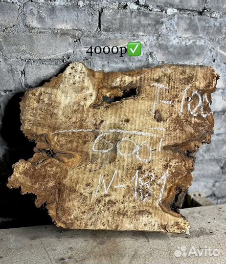 Слэбы капового горного тополя