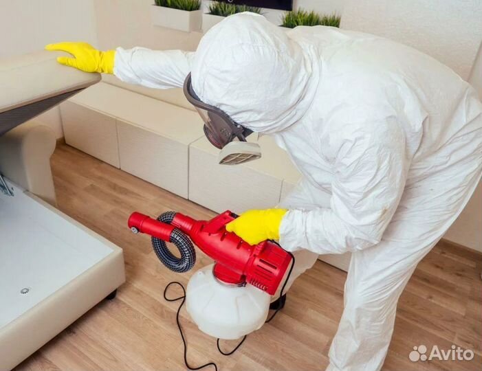 Дезинфекция тараканов, клопов, комаров, крыс мышей