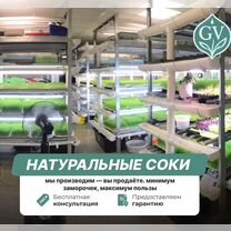 Натуральные соки в заморозке — доставка и производство отлажены, Сумы