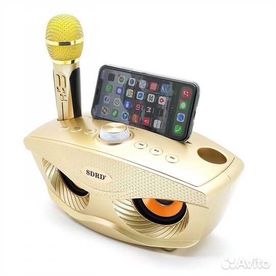 Караоке система sdrd SD-306 20Вт. Золото