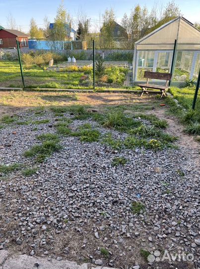 Передержка для собак