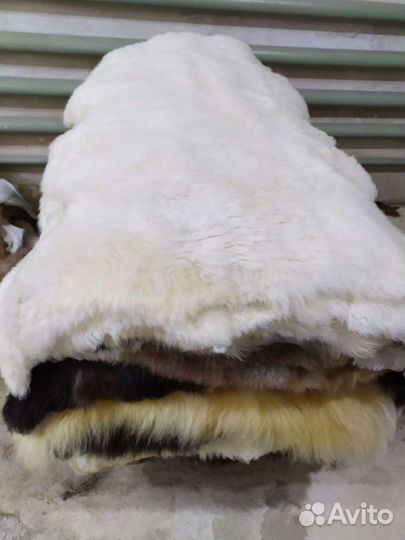 Овечья шкура