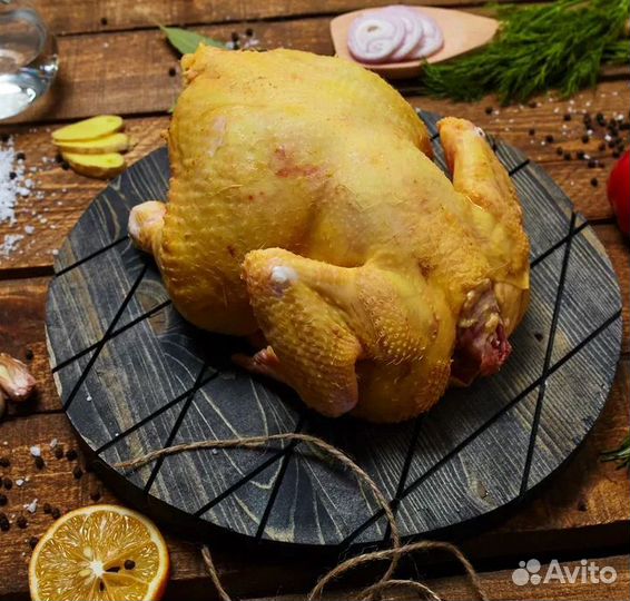 Домашняя курица