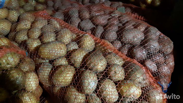 Продам картофель,морковь доставка
