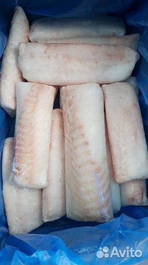 Рыба икра морепродукты