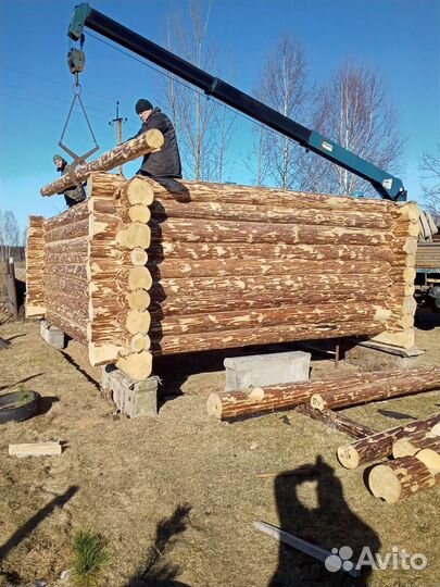 Срубы дома бани