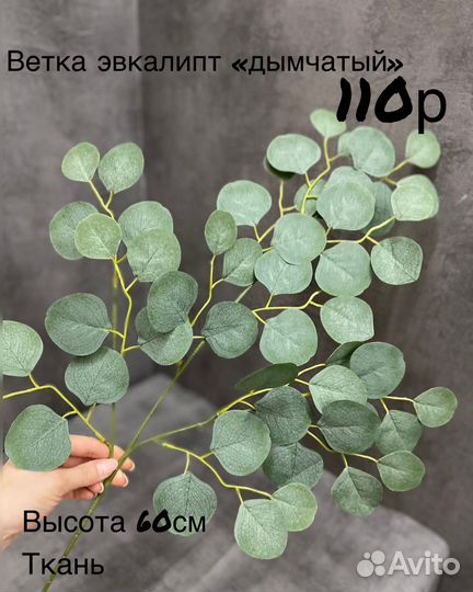 Ветка фикуса,оливы,березы,эвкалипта,рускуса