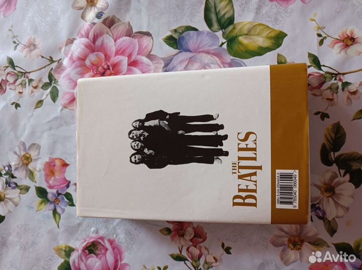 Осколки неба, или подлинная история Битлз