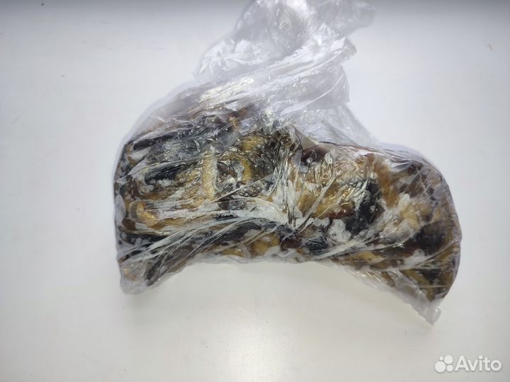 Грибы замороженные. Есть опята, белые и смешанные