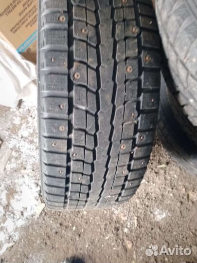Dunlop Winter Maxx 2.25/55 R18 и 2.25/55 R18