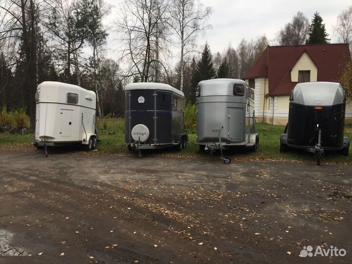 Услуги Коневоза и Скотовоза Перевозки животнытных