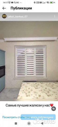 Зебра. день ночь