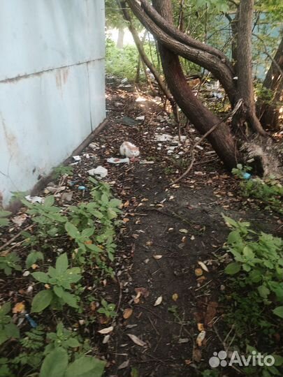 Подкинут пушистый котик