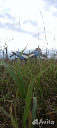 Irbis 250 кубов