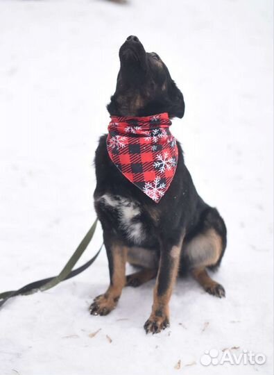 Интеллигентный мальчик Виктор