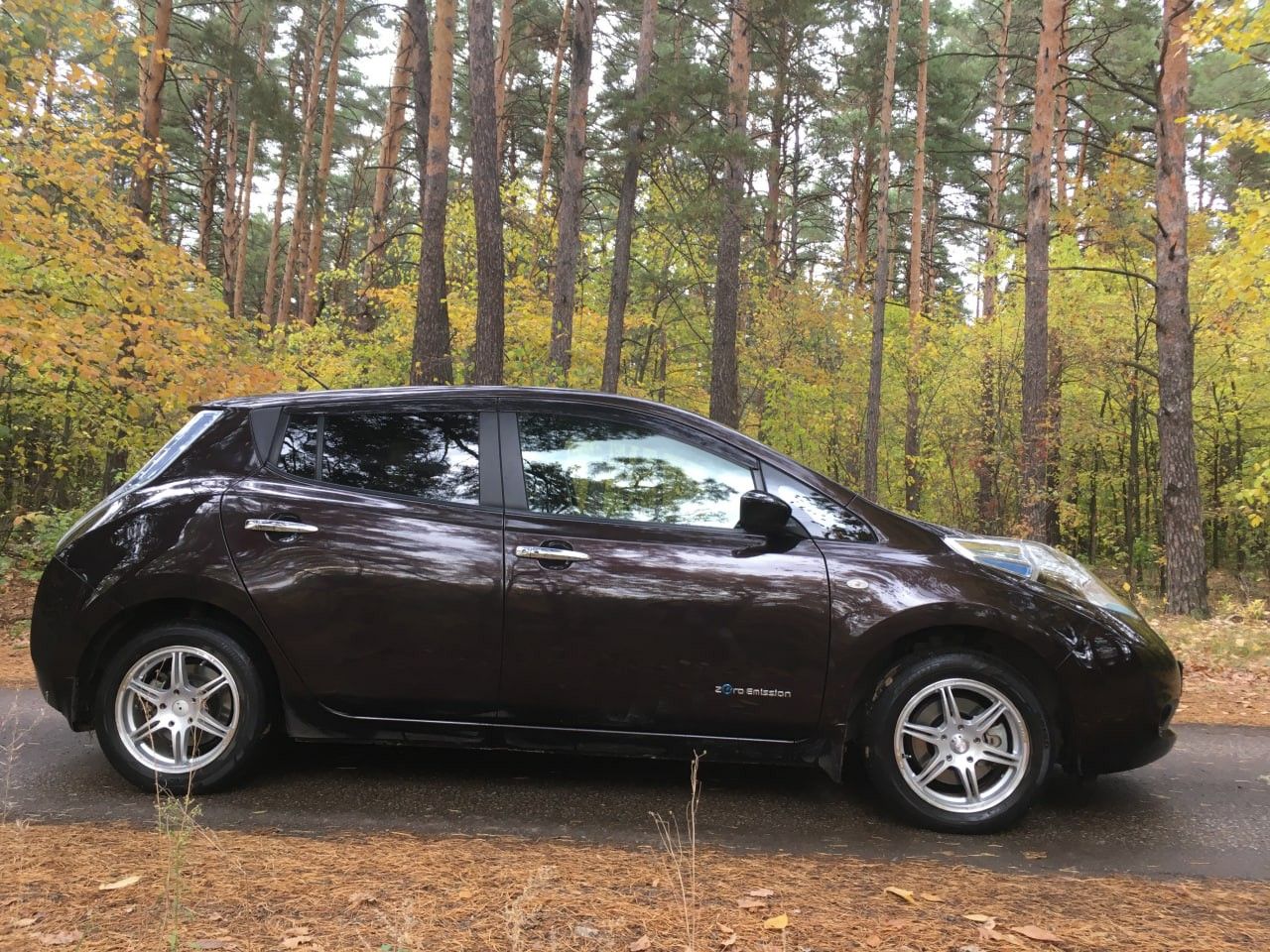Nissan Leaf: фото владельца