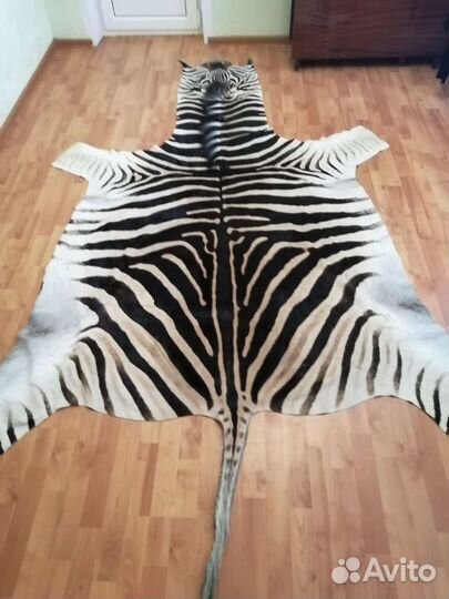 Шкура зебры