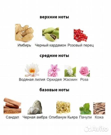 Парфюм Jo Malone Dark Amber & Ginger Lily