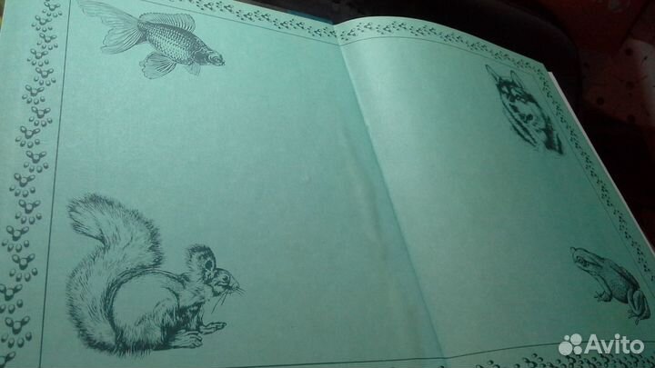 Энциклопедия животные В доме москва 1994г