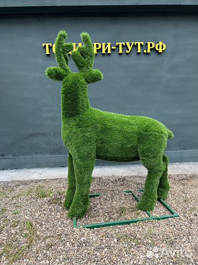 Топиари Топиарные фигуры Садовые фигуры