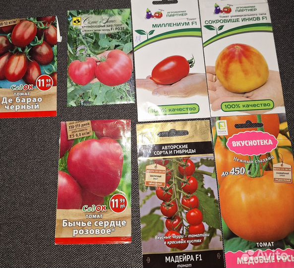 Рассада помидор