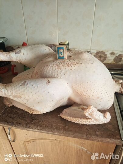 Мясо индейки,домашнее,деревенское