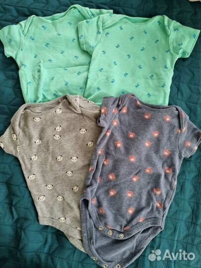 Боди песочник next