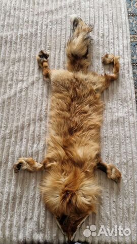 Шкурка животного