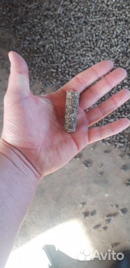 Жом свекловичный гранулированный