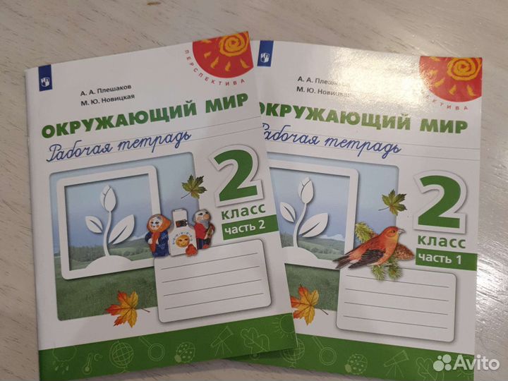 Рабочая тетрадь 2 класс
