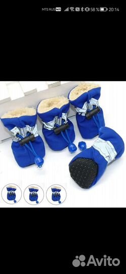 Дождевик, обувь для собак